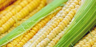 Co łączy tłok z korbowodem?