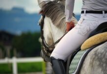 Jak wyglądają bryczesy?