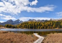 Kiedy Staza taktyczna?