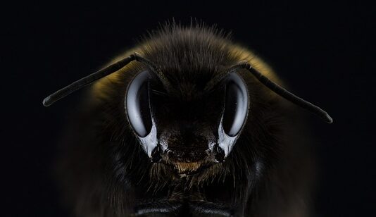 Czy Hummel to dobra firma?