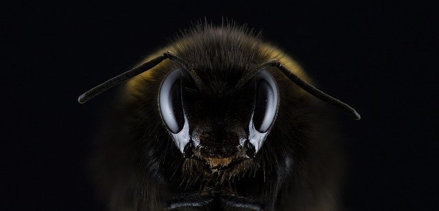 Czy Hummel to dobra firma? Czy Hummel to dobra firma?