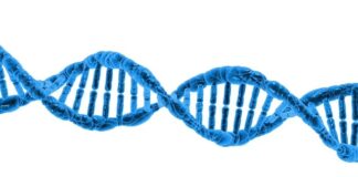 Kiedy zacząć brać białko?