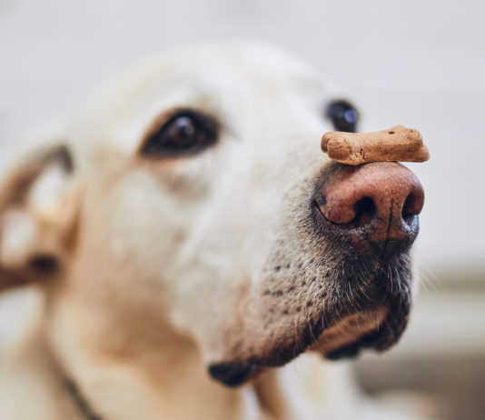 Smakołyki w zdrowej diecie